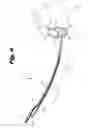 Fig. 04 - Cochlear lead