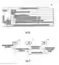 Fig. 06 - Email system providing enhanced conversation and category search features and related methods