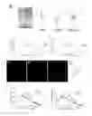 Fig. 04 - ASSAY FOR SCREENING ANTIDEPRESSANTS