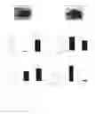Fig. 10 - ASSAY FOR SCREENING ANTIDEPRESSANTS