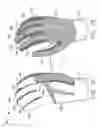 Fig. 07 - Ergonomic curved athletic glove