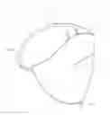 Fig. 01 - BELLY-COVERING UNDERWEAR