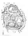 Fig. 02 - Headgear