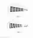 Fig. 02 - Nozzle for blow dryer
