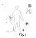 Fig. 02 - System and methods to avoid insect attacks