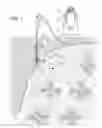 Fig. 02 - ROLLING HERBICIDE APPLICATOR AND SHIELD