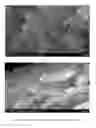 Fig. 08 - Compositions for sustained release of agricultural macronutrients and process thereof