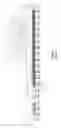 Fig. 02 - CORRUGATED INSERT CUTTING APPARATUS AND METHOD
