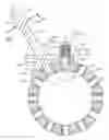 Fig. 01 - Packing nut lock and method of use