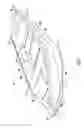 Fig. 02 - UNIVERSAL DEPTH BOAT