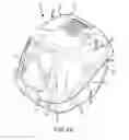 Fig. 02 - LITTER BOX WITH REMOVABLE FILTER HOUSING