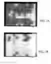 Fig. 09 - METHOD AND DEVICE FOR THE ELECTROMAGNETIC STIRRING OF ELECTRICALLY CONDUCTIVE FLUIDS