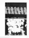 Fig. 06 - Solder bump formation on a circuit board using a transfer sheet