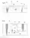 Fig. 09 - Split engagement flange for soap dispenser pump piston
