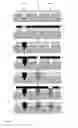 Fig. 06 - VERIFIABLE SYMBOLIC DIRECT PART MARK AND METHOD OF ITS FABRICATION