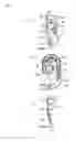 Fig. 06 - Seatbelt retractor