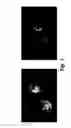 Fig. 02 - Non-invasive methods and apparatus for detecting insect-induced damage in a plant