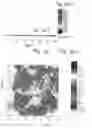 Fig. 06 - P-type thermoelectric materials, a process for their manufacture and uses thereof