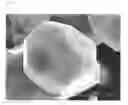 Fig. 06 - Positive electrode active material for secondary batteries with nonaqueous electrolytic solution, process for the production of the active material, and secondary batteries with nonaqueous electrolytic solution