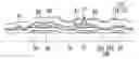Fig. 01 - Thin film transistor display panel and manufacturing method of the same