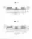 Fig. 03 - Organic light-emitting display apparatus and method of manufacturing the same