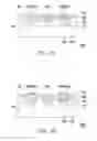 Fig. 08 - LIGHT-EMITTING UNIT ARRAY