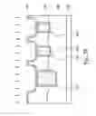 Fig. 07 - Self-aligned contact for trench MOSFET