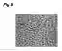 Fig. 09 - Photodiode and photodiode array