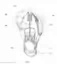 Fig. 09 - Power factor control for an LED bulb driver circuit