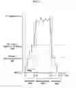 Fig. 06 - Portable terminal, input control program and input control method