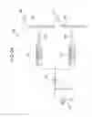 Fig. 22 - IMAGE PROCESSING APPARATUS, IMAGE PROCESSING METHOD, PROGRAM AND ELECTRONIC APPARATUS