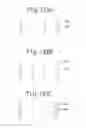 Fig. 90 - LIQUID CRYSTAL DISPLAY APPARATUS HAVING ALIGNMENT CONTROL FOR BRIGHTNESS AND RESPONSE