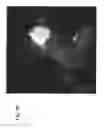 Fig. 14 - Multipoint method for identifying hazardous agents