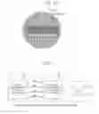 Fig. 10 - Examination method and examination device