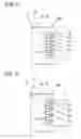 Fig. 07 - Wiring substrate and manufacturing method thereof