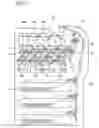 Fig. 02 - MOUNT STRUCTURE FOR ELECTRICAL BOARD, AND IMAGE FORMING APPARATUS HAVING THE SAME