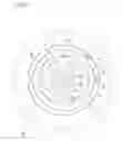 Fig. 05 - Unidirectional coupling-clutch runner