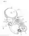 Fig. 09 - Unidirectional coupling-clutch runner