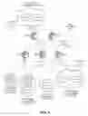 Fig. 02 - Network layer multicasting in trill networks