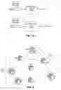 Fig. 06 - Network layer multicasting in trill networks