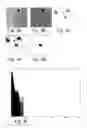 Fig. 09 - Method and device for segmenting a digital cell image