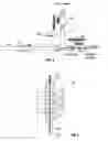 Fig. 04 - Method to stop wellbore fluid leakage from a spoolable wellbore intervention rod