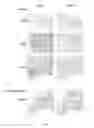 Fig. 02 - Methods for the treatment and the prognostic assessment of malignant pleural mesothelioma