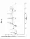 Fig. 05 - HYDROMORPHONE THERAPY