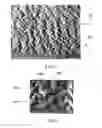 Fig. 04 - Three dimensional structures useful as cleaning sheets