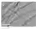 Fig. 01 - Anode of lithium battery