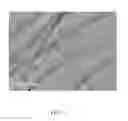Fig. 06 - Anode of lithium battery