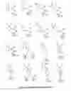 Fig. 02 - Antireflective coating composition and process thereof