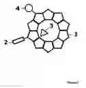 Fig. 02 - NANOPARTICLE FOR BIOAFFINITY ASSAYS