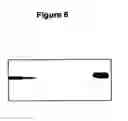 Fig. 07 - Methods and compositions for delivering polynucleotides